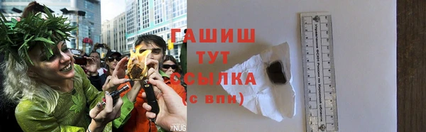 индика Вяземский