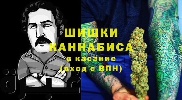 дурь Билибино