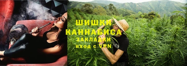 PSILOCYBIN Навашино