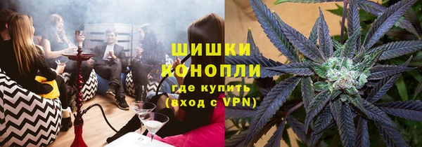 PSILOCYBIN Навашино