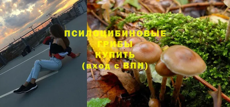 Псилоцибиновые грибы Magic Shrooms Малаховка